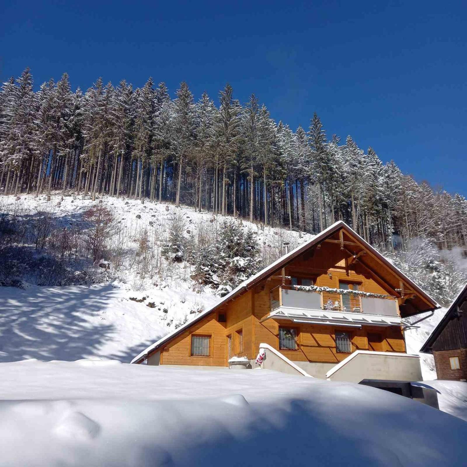 Hisa Lunna - Apartments In A Forest Paradise Vitanje エクステリア 写真