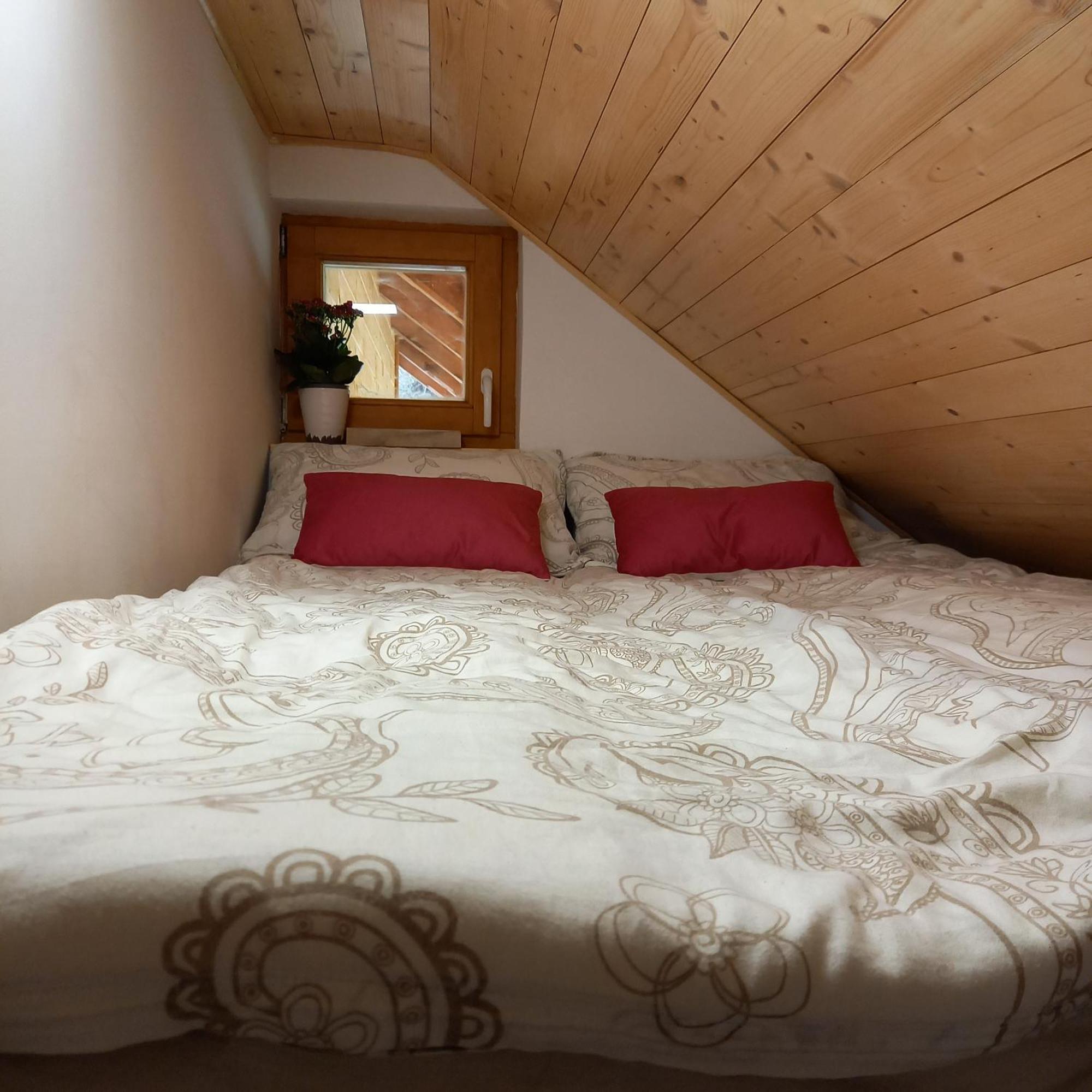 Hisa Lunna - Apartments In A Forest Paradise Vitanje エクステリア 写真